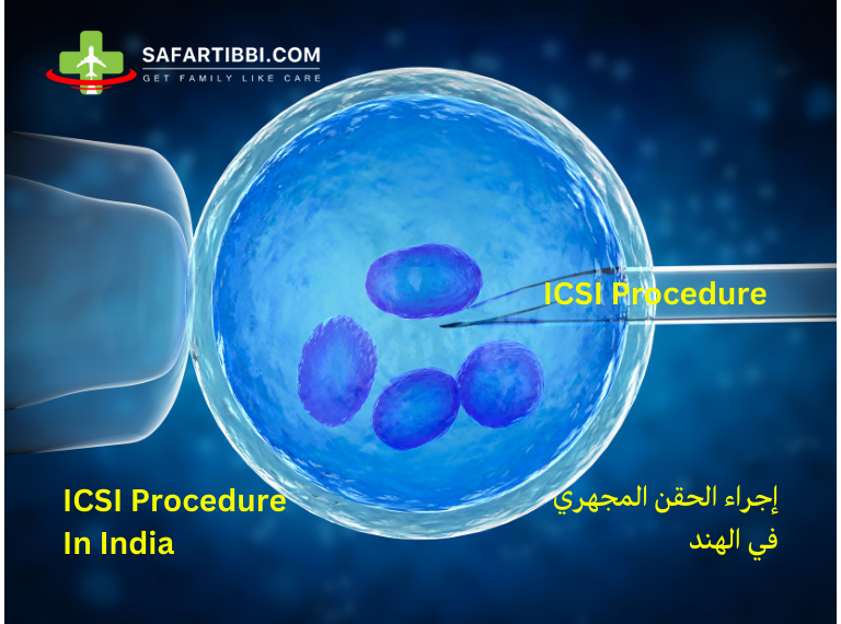 ICSI Procedure in India