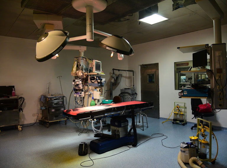 fortis-bannerghatta-2