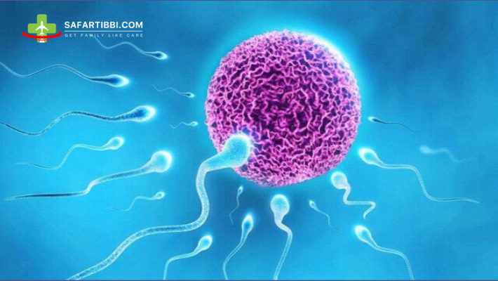 Non-Obstructive Azoospermia (NOA) and its Impact Male Fertility