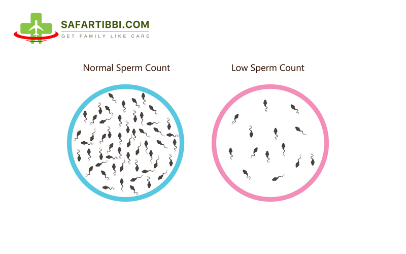 Low Sperm Count Treatment in India: A Guide to Effective Solutions